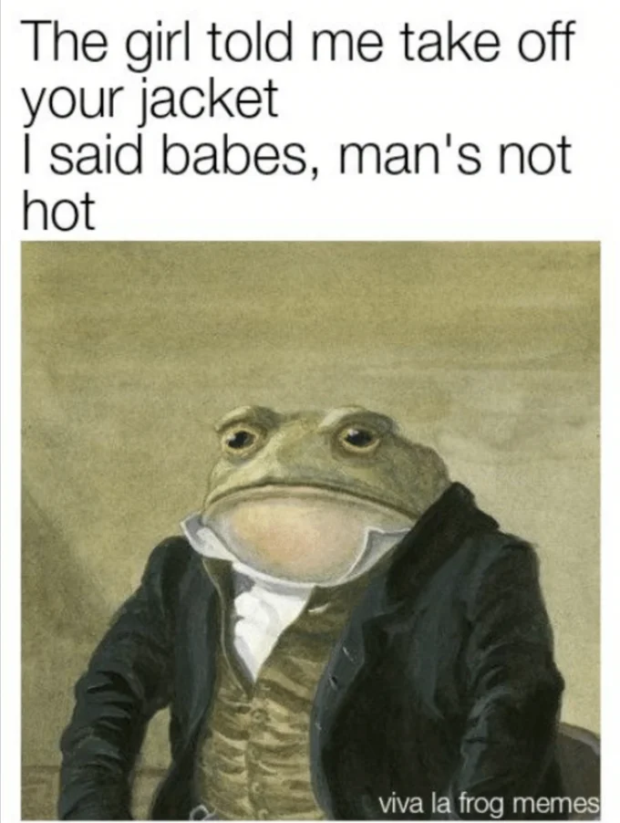 Colonel Toad — Ingres portrait of Louis-François Bertin, a seated man in a black coat with hands on knees
