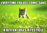 Kitten in field with text about losing testicles from Comic Sans use.