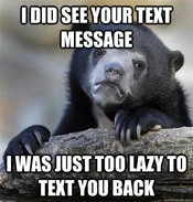Smaller Confession Bear meme with dark bear confessing piracy.