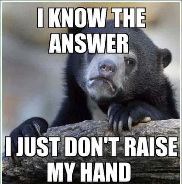Confession Bear with melancholic bear confessing school hand-raising anxiety.