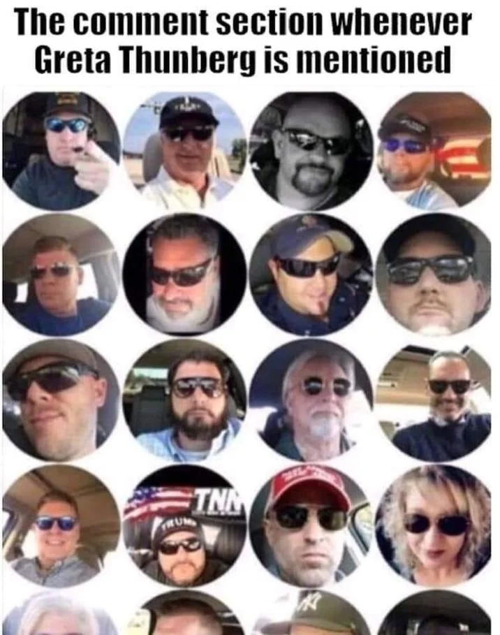 Conservative Sunglasses Profile Pictures — Meme about Greta Thunberg comment sections featuring sunglasses profile picture collage