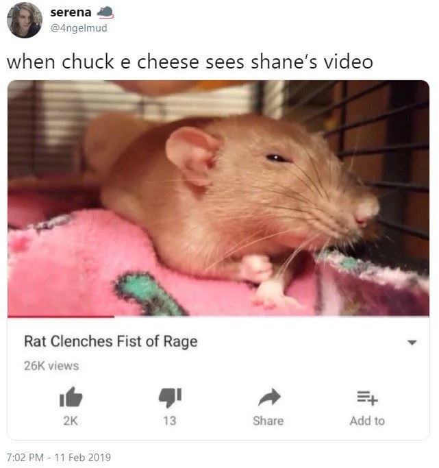 Conspiracy Theories With Shane Dawson — Tweet about Chuck E. Cheese pizza conspiracy from Shane Dawson's video