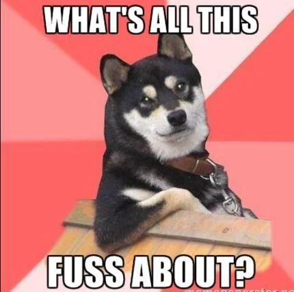 Cool Dog meme captioned What's All This Fuss About