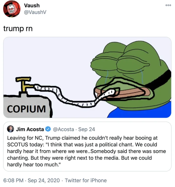 Cope and Seethe — Twitter post featuring Pepe the Frog labeled 'COPIUM' connected to another character.
