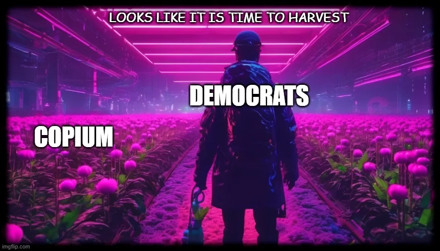 Neon synthwave-style image with figure in magenta flowers with 'COPIUM' and 'DEMOCRATS' text labels.