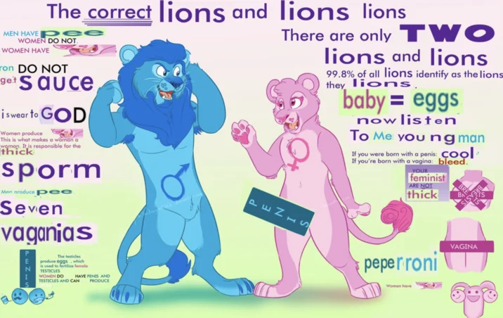 Correct Gender And Sexuality Lions — Deep-fried parody edit of the correct gender lions infographic with nonsense word substitutions.