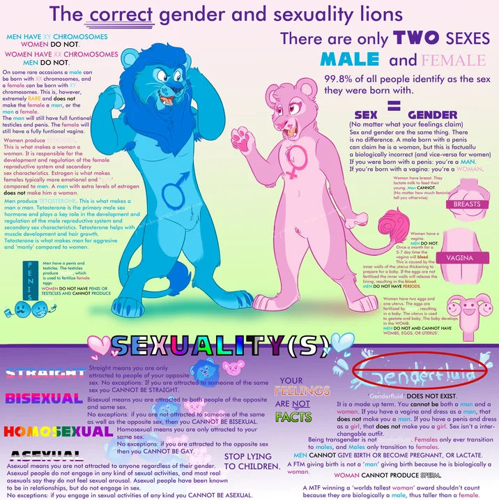 Full-length version of the correct gender and sexuality lions infographic including a sexuality chart section below the lions.