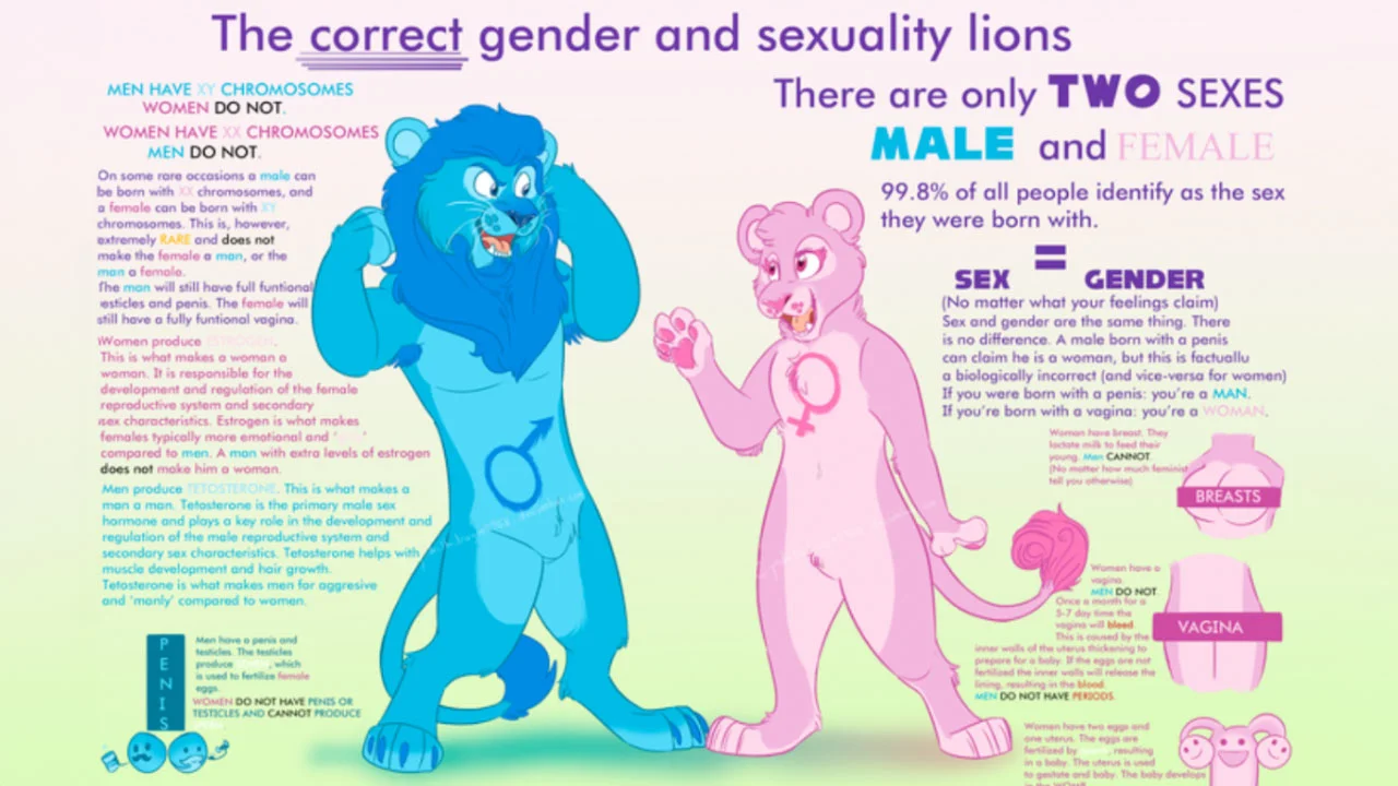 Infographic titled 'The correct gender and sexuality lions' with a blue male lion and pink female lioness surrounded by text about biological sex.