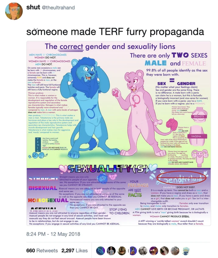 Correct Gender And Sexuality Lions — Tweet by user shut (@theultrahand) with caption 'someone made TERF furry propaganda' showing the correct gender lions