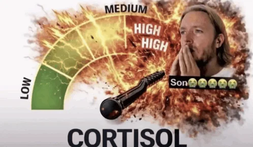 Cortisol Level Cortisol Spike — Cortisol meter remix combining celebrity reaction image in high-stress zone surrounded by dramatic fire effects.