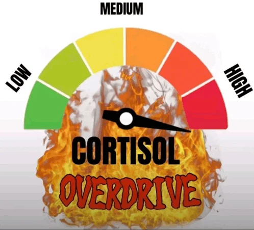 Cortisol Level Cortisol Spike — Cortisol meter variant with explosive fire and flame effects in center labeled 'overdrive' representing maximum stress.
