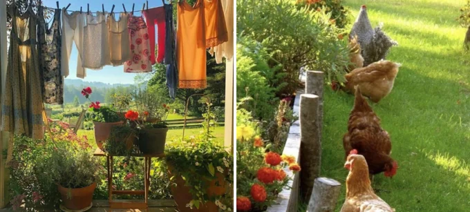 Cottagecore — Two-panel image showing colorful laundry on clothesline with preserving jars alongside brown chickens foraging in lush garden.