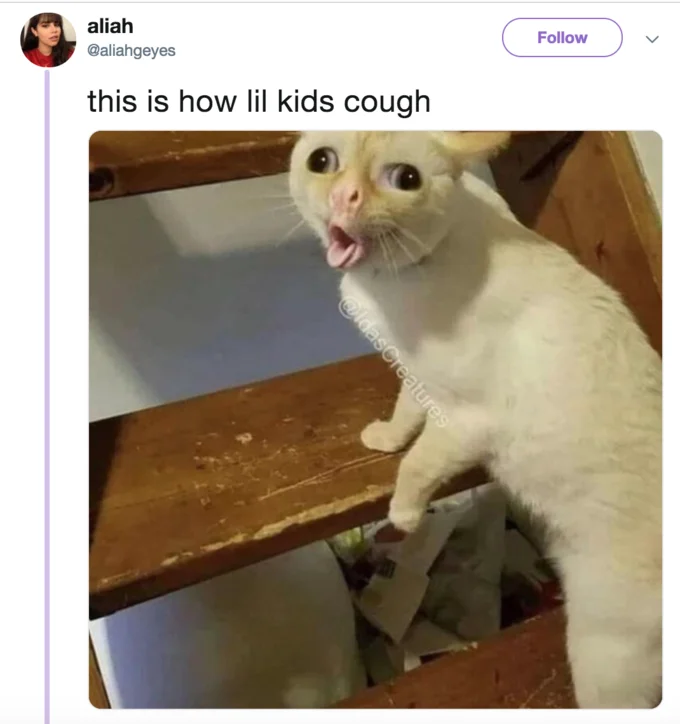 Tweet by aliahgeyes with coughing cat image captioned 'this is how lil kids cough'