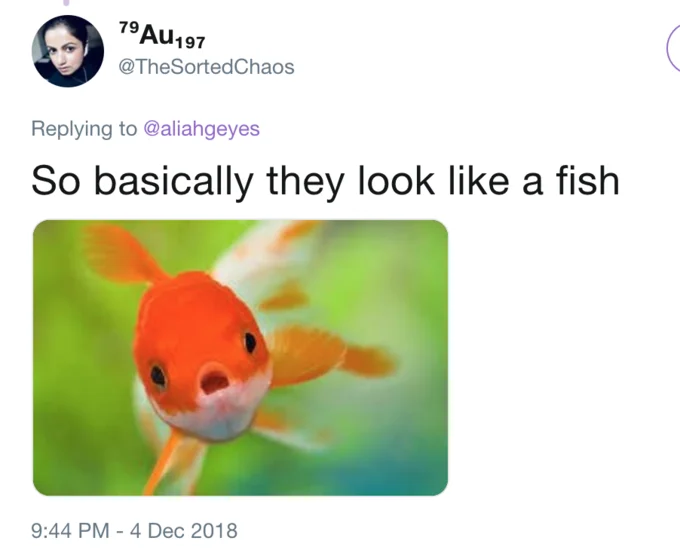 Tweet comparing coughing cats to a goldfish with open mouth