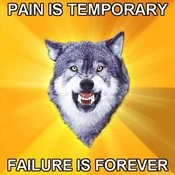 Courage Wolf meme with philosophical text about pain, failure, and personal resilience versus permanent consequences.