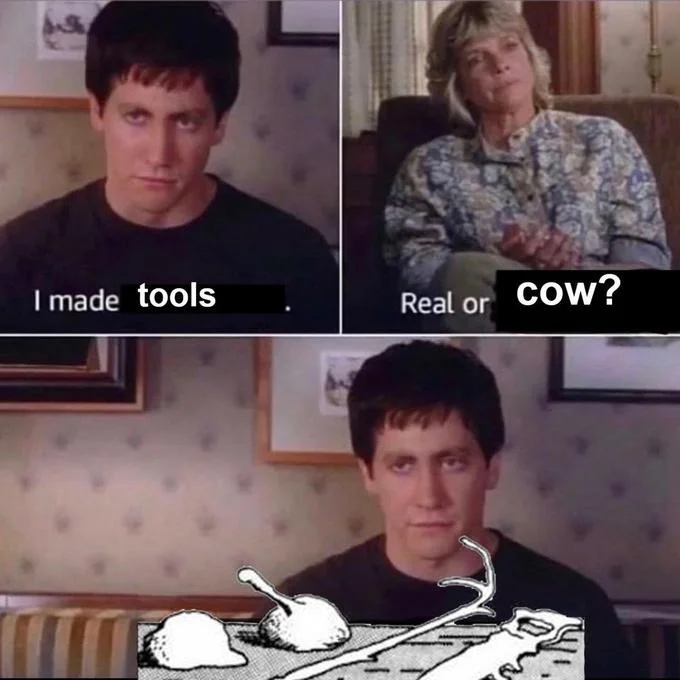 Donnie Darko 'I made tools / Real or cow?' meme with the Cow Tools cartoon tools shown in the final panel.