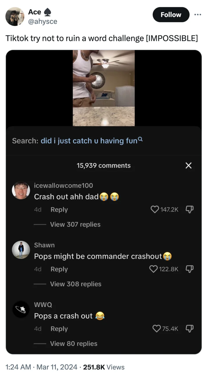 Crashout Crash Out — Twitter screenshot of TikTok comment section with 'Crash out ahh dad' and 'Pops might be commander crashout' comments