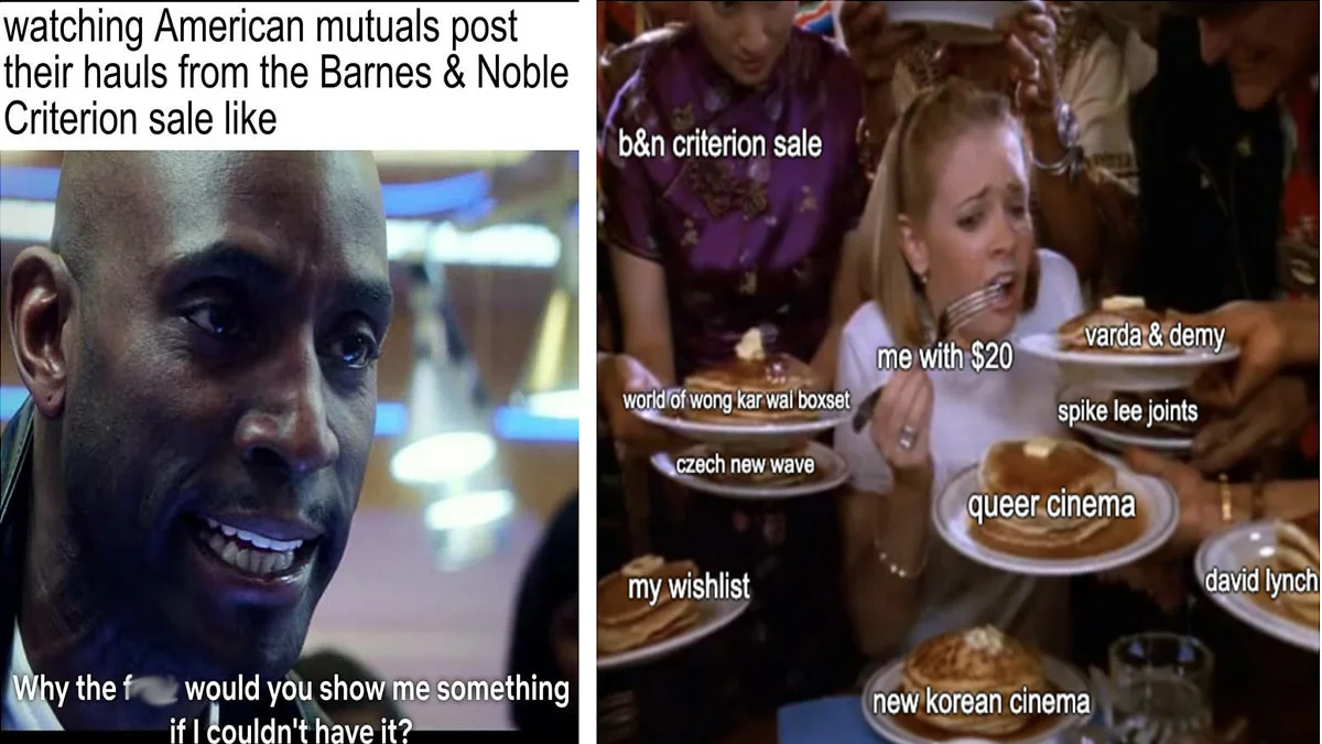 Criterion Collection Niche — Multi-panel meme combining a confused face reaction with text overlays pointing to different Criterion interests and emotional