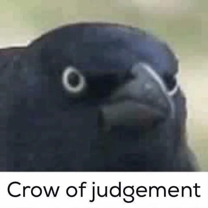 Close-up of grackle with 'Crow of judgement' caption