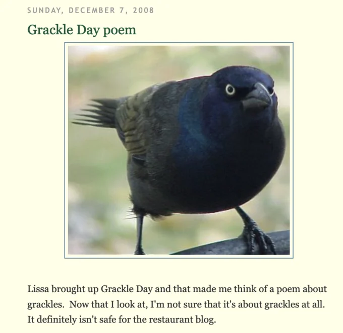 Crow Of Judgement — 2008 blog post 'Grackle Day poem' featuring the original grackle photograph