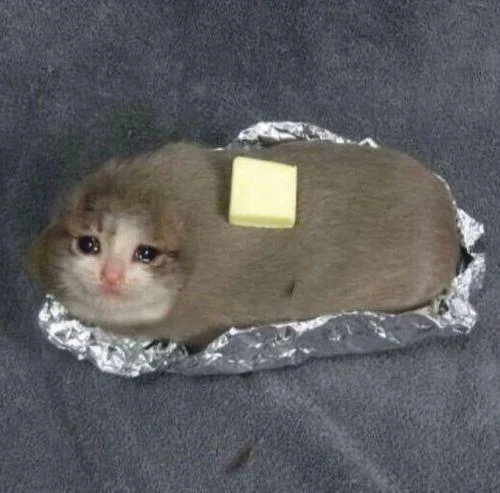 Crying cat head photoshopped onto a foil-wrapped baked potato with butter