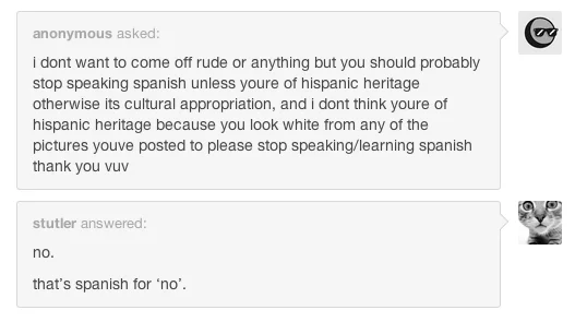 Tumblr screenshot showing anonymous message calling Spanish speaking cultural appropriation with deadpan reply 'no. that's spanish for no.'