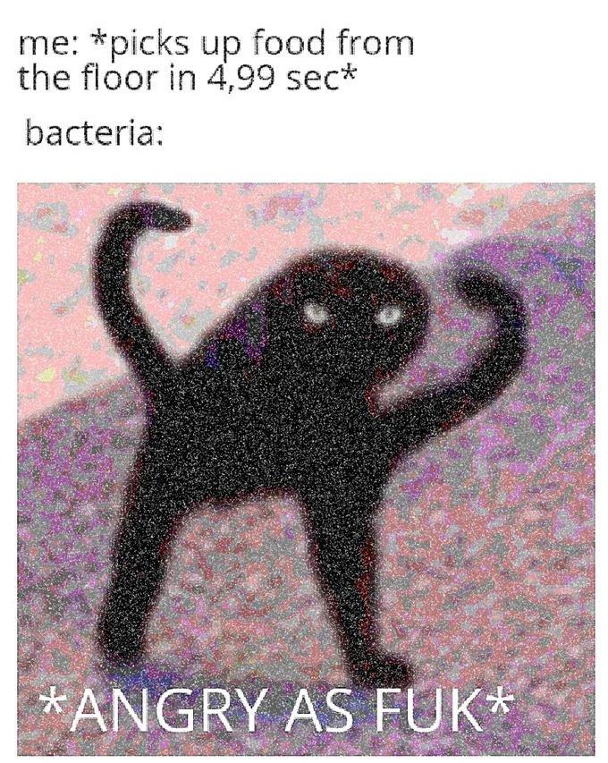 Deep-fried Cursed Cat meme about five-second rule bacteria labeled angry as fuk