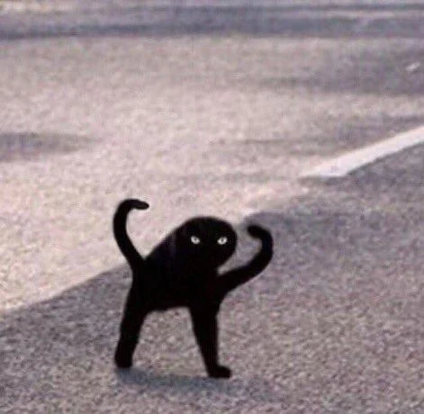 Cursed Cat meme image of a misshapen black cat with glowing eyes on asphalt