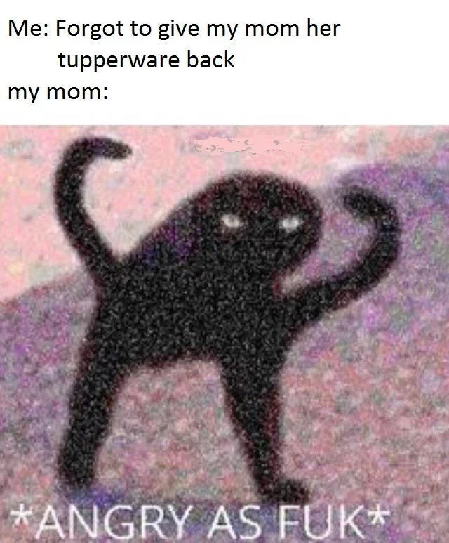 Deep-fried Cursed Cat meme about forgetting to return mom's Tupperware