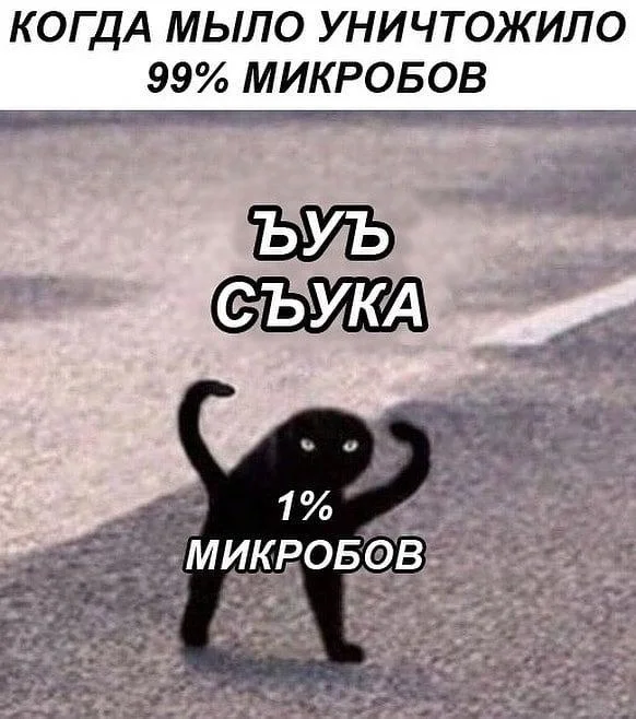 Russian Cursed Cat meme about surviving germs with Cyrillic text overlay