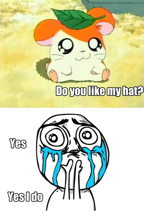 Hamtaro hamster with leaf hat and Cuteness Overload face replying Yes I do
