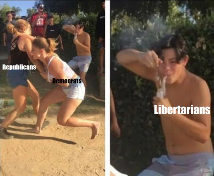 Political meme showing people dabbing; labeled Republicans, Democrats, Libertarians