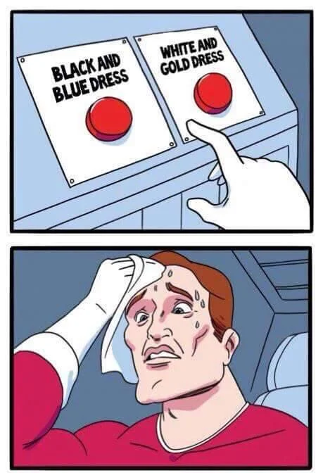 Daily Struggle meme referencing the viral black-and-blue vs white-and-gold dress debate