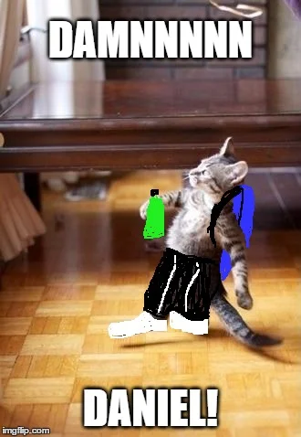 Damn Daniel — Humorous animal adaptation featuring cat dressed in clothes with text 'DAMNNNNNNN DANIEL!' and 'DANIEL!'