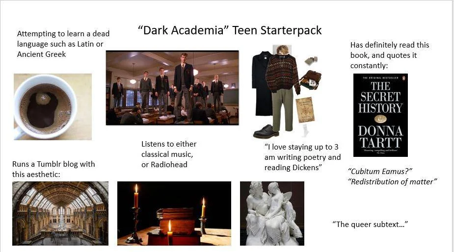 Starter pack meme showcasing dark academia aesthetic including ornate libraries, vintage literature, formal dark clothing, classical music, and moody decor