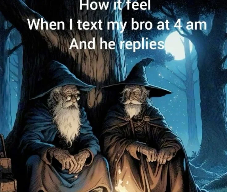Dark Academia — Dark fantasy illustration of two hooded wizard figures in moonlit cavern with generic reaction meme text about texting at 4am.
