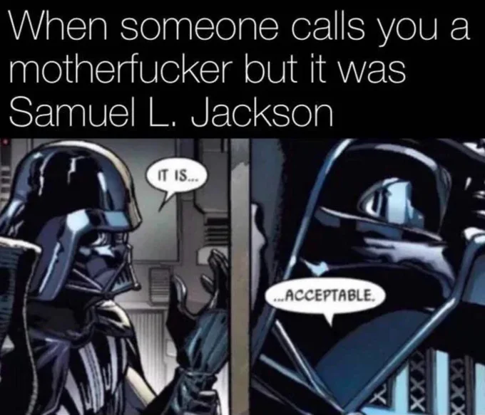 Darth Vader's "It Is Acceptable" — Darth Vader 'It is... acceptable' meme about Samuel L. Jackson calling someone a motherfucker.