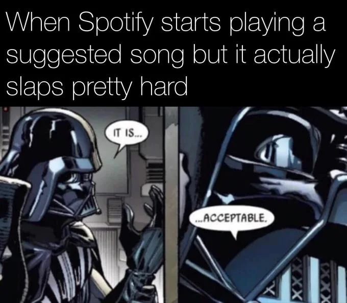 Darth Vader's "It Is Acceptable" — Darth Vader 'It is... acceptable' meme captioned about a Spotify suggested song slapping hard.