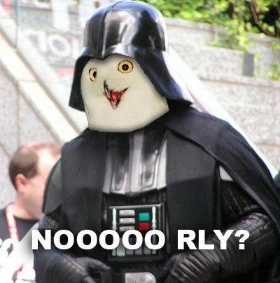 Darth Vaders Noooooooooooo — Vader cosplayer with O RLY owl face and 'Noooo RLY?' caption