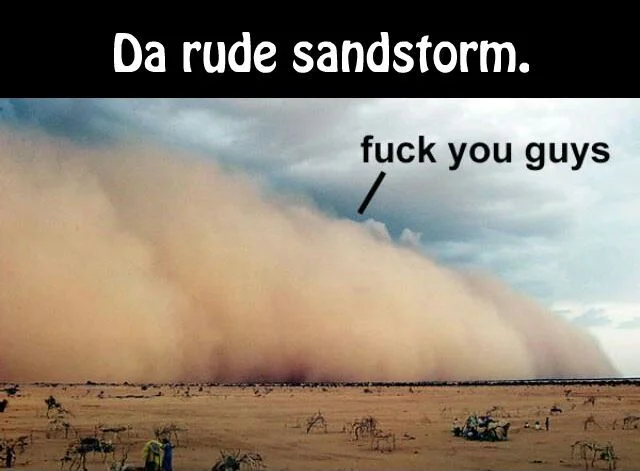 Darude Sandstorm — Two-panel reaction meme combining actual sandstorm photograph labeled 'Da rude sandstorm' with sarcastic message and reactive pose.