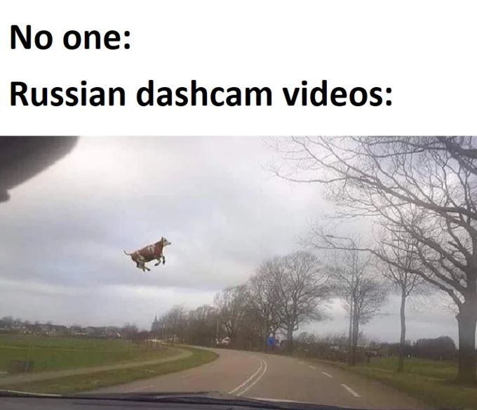 Meme with 'No one: Russian dashcam videos:' above a cow flying above a road