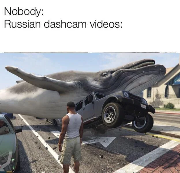 Meme with 'Nobody: Russian dashcam videos:' above a GTA V whale-on-car scene