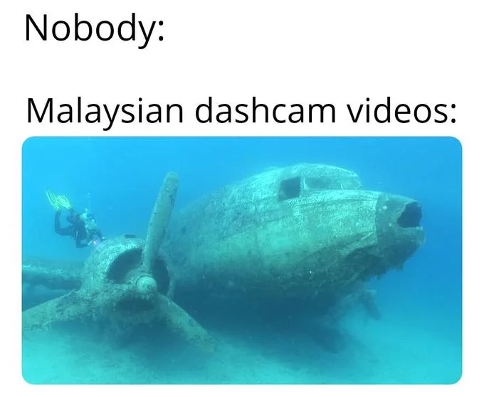 Meme with 'Nobody: Malaysian dashcam videos:' above a sunken plane and diver