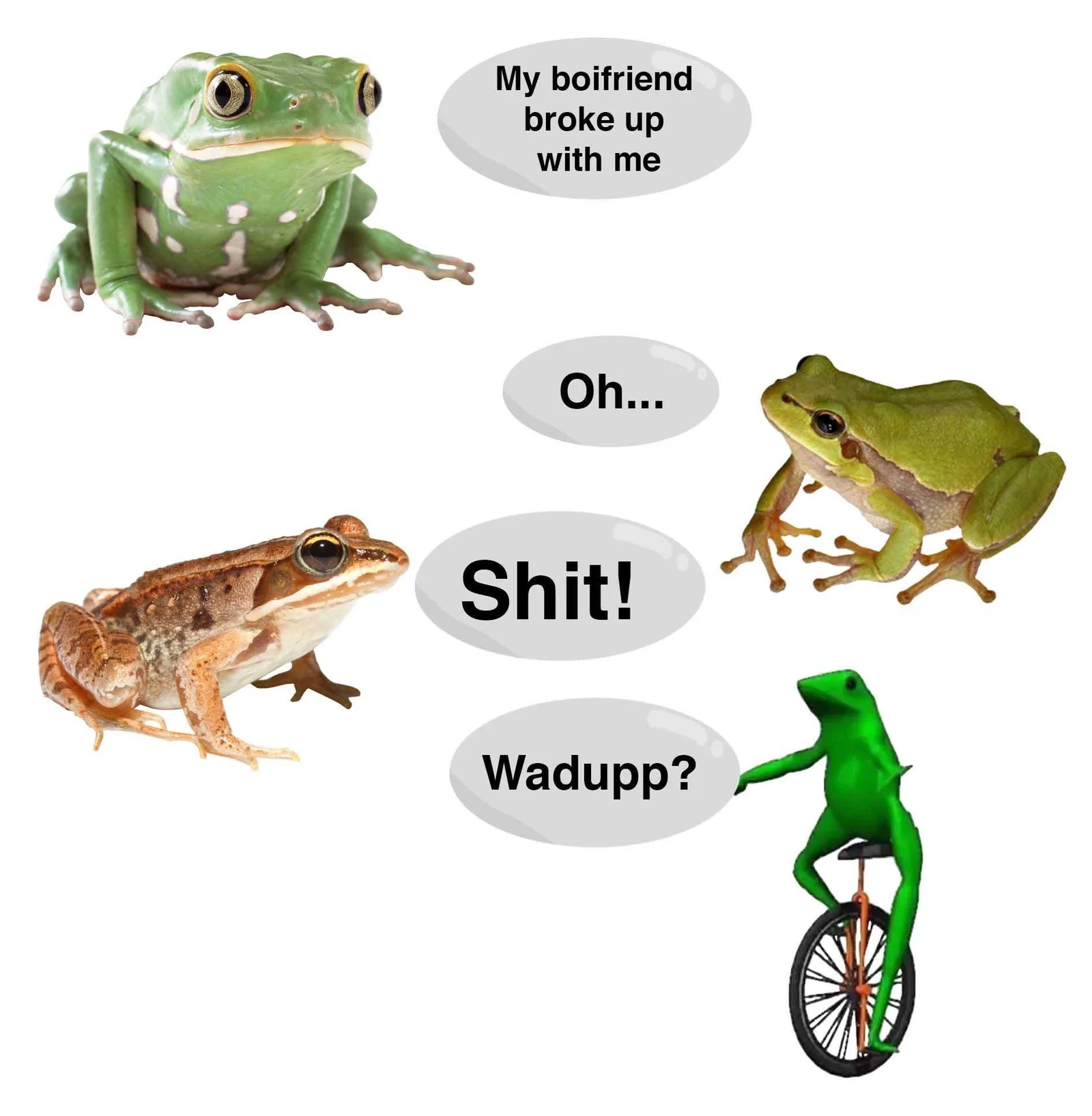 Dat Boi