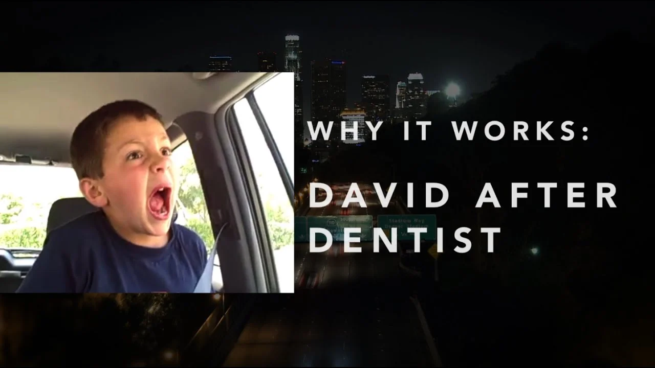 David After Dentist Why It Works documentary analysis car