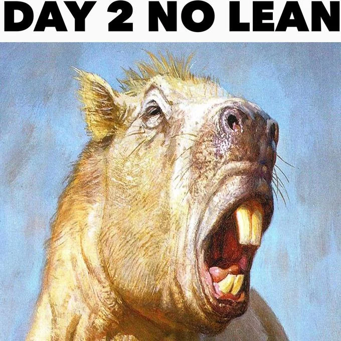 Day 1, 2, 3 No Lean — Painted startled boar with bared teeth captioned 'DAY 2 NO LEAN'