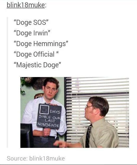 Days Since Our Last Nonsense — Tumblr screenshot pairing a list of 5 Seconds of Summer 'Doge' puns with the Office nonsense meme image.