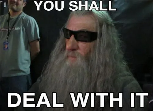 Gandalf from Lord of the Rings wearing large dark sunglasses with Impact font text 'YOU SHALL' and 'DEAL WITH IT'.