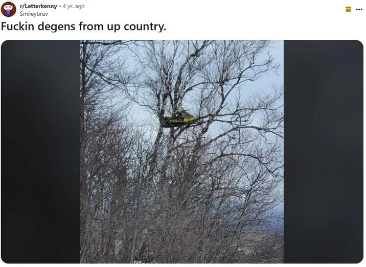 Degen (Slang — Reddit post from r/Letterkenny captioned 'Fuckin degens from up country' showing a tree structure