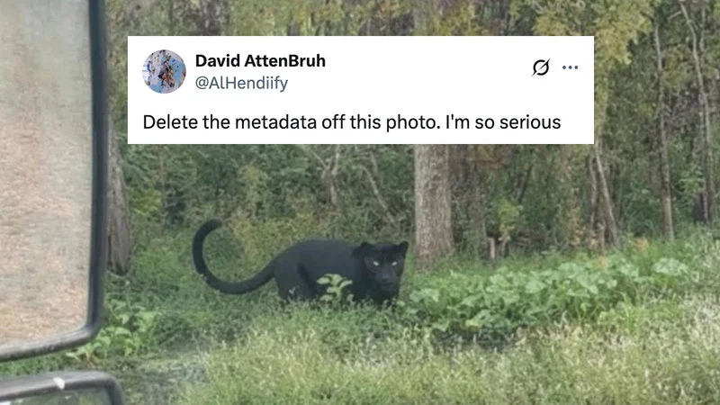 Delete The Metadata Off This Photo Im So Serious